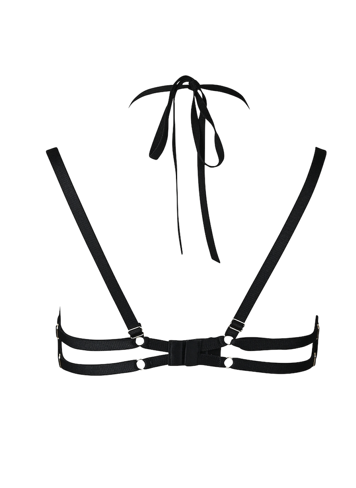 The Purple Sapphire bra